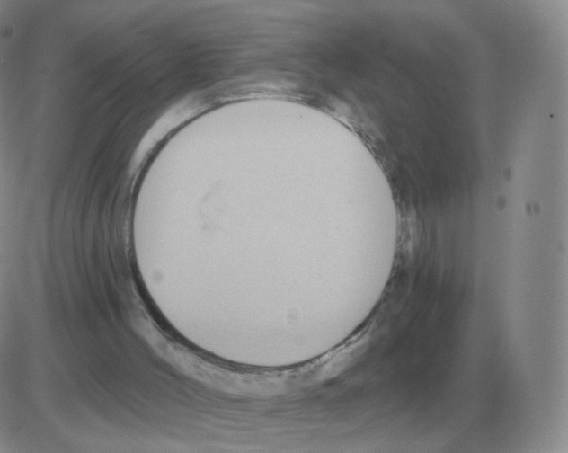 X0000082680004200702232150