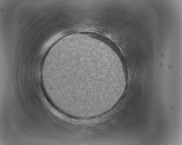 X0000082680005200702232150