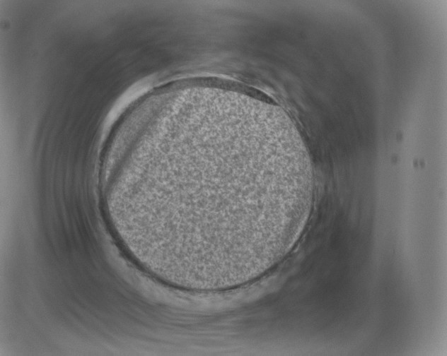 X0000082680006200702232150