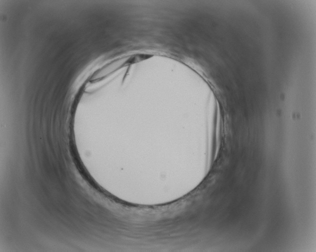 X0000082680007200702232150