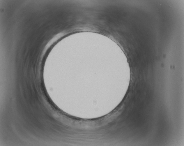 X0000082680008200702232150