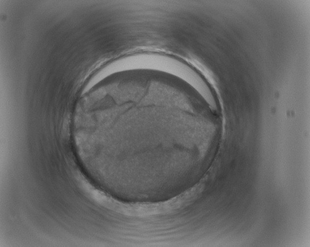 X0000082680009200702232150