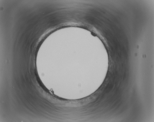 X0000082680011200702232150