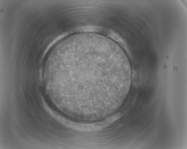 X0000082680012200702232150