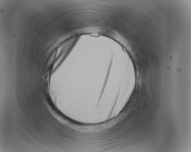 X0000082680013200702232150