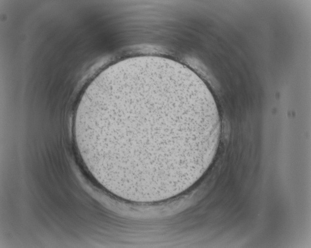 X0000082680014200702232150