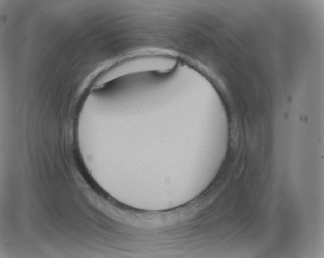 X0000082680015200702232150