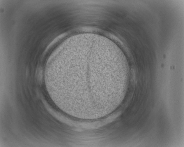 X0000082680016200702232150