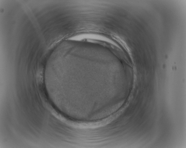 X0000082680017200702232150