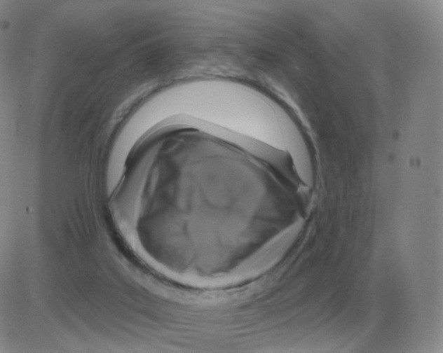 X0000082680019200702232149