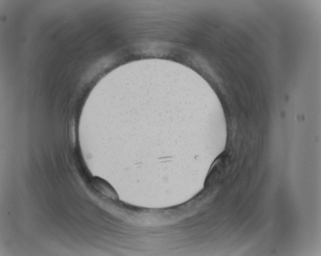 X0000082680020200702232149