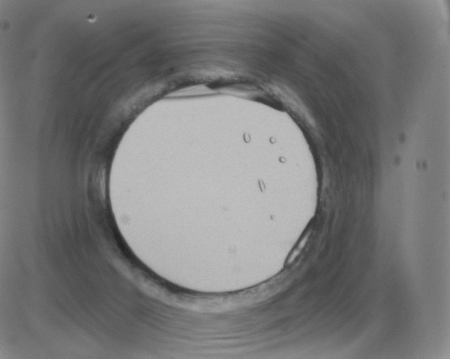 X0000082680021200702232149