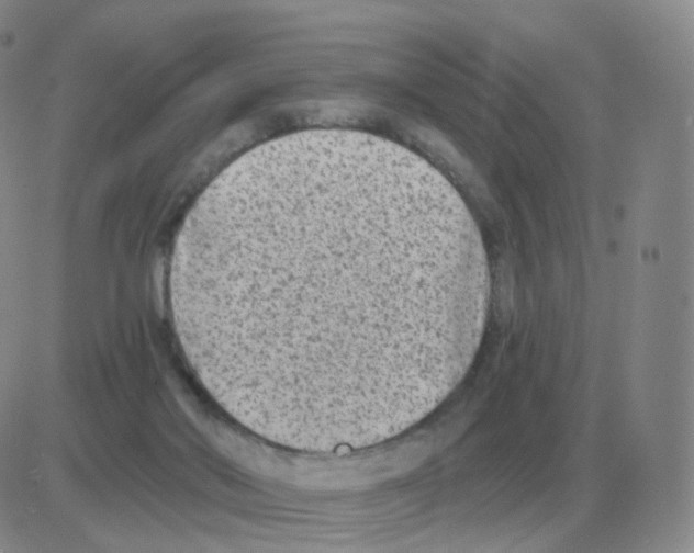 X0000082680022200702232149