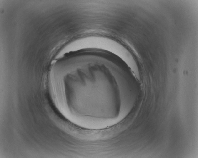 X0000082680023200702232149