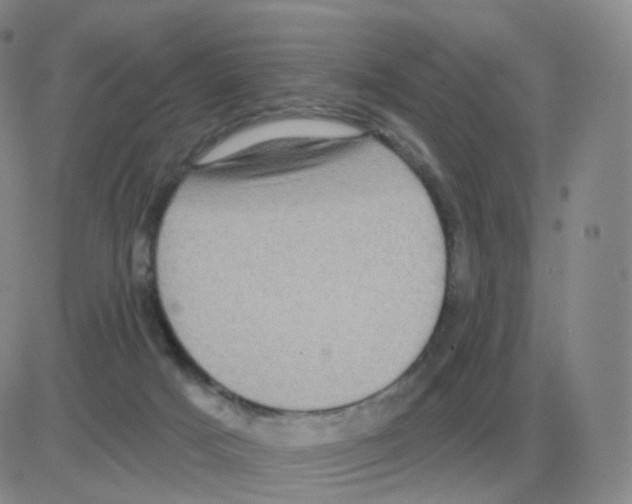 X0000082680025200702232149