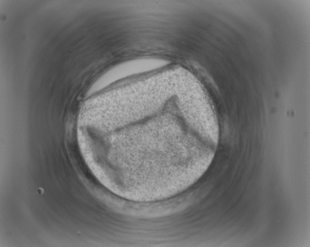 X0000082680026200702232149