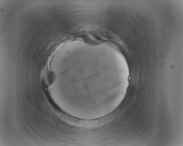 X0000082680027200702232149