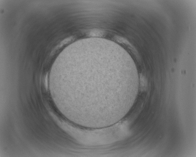 X0000082680028200702232149