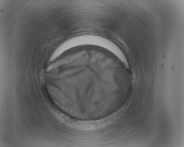 X0000082680029200702232149