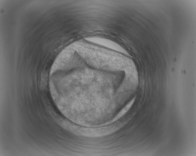 X0000082680030200702232149