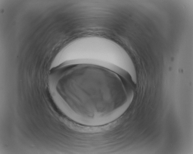 X0000082680031200702232149