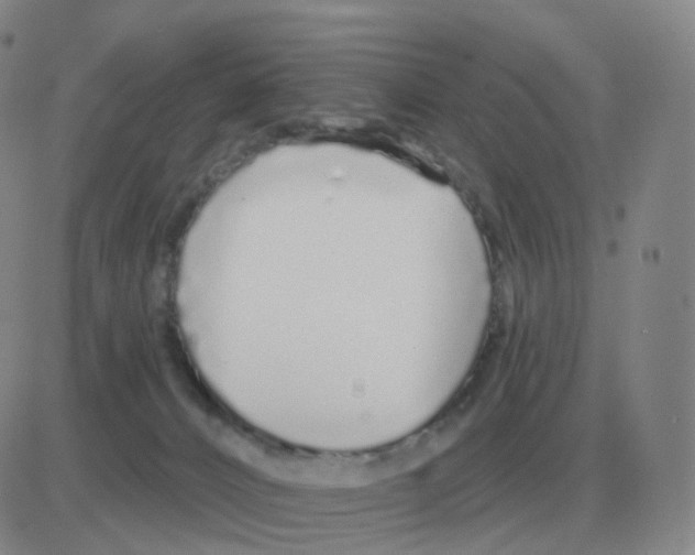 X0000082680032200702232149