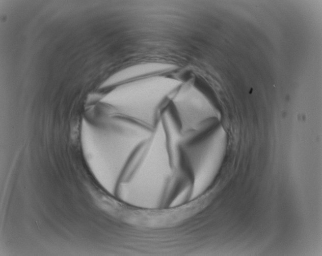 X0000082680033200702232149