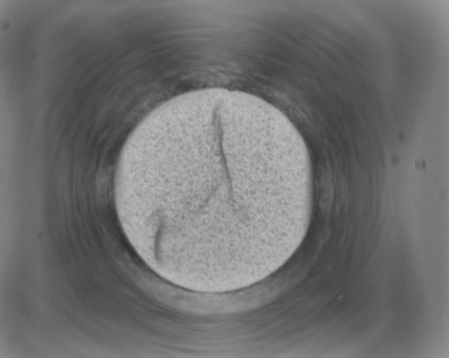 X0000082680034200702232149