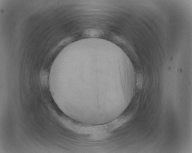 X0000082680036200702232149