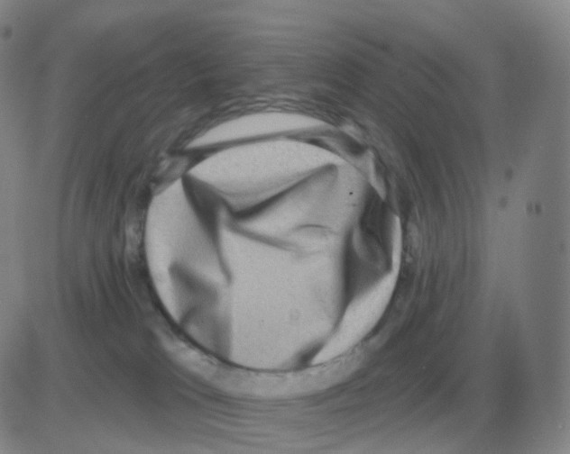 X0000082680037200702232149