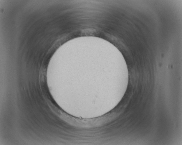 X0000082680038200702232149