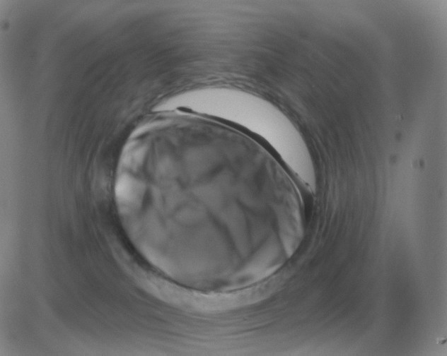 X0000082680039200702232149