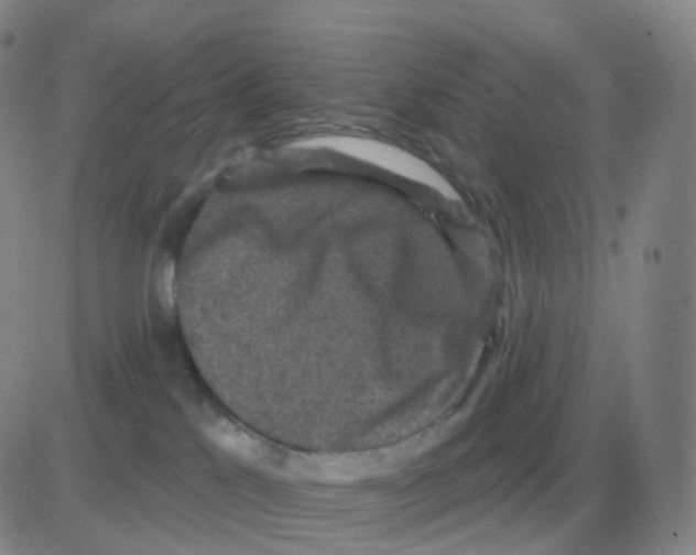 X0000082680041200702232149