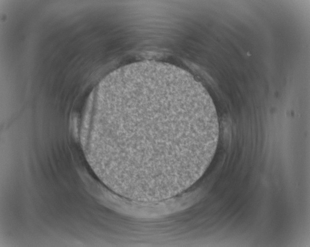 X0000082680042200702232149