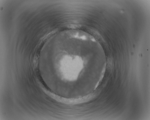 X0000082680043200702232149