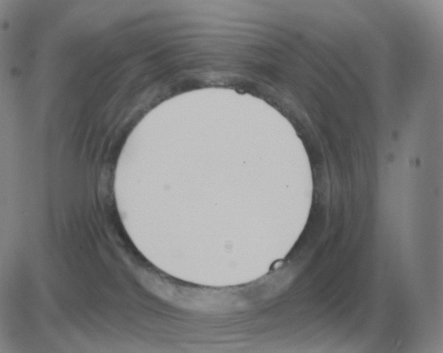 X0000082680044200702232149