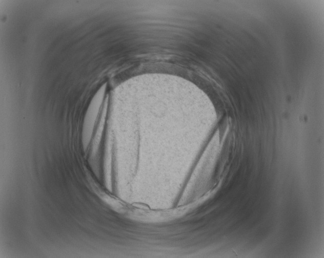 X0000082680045200702232149