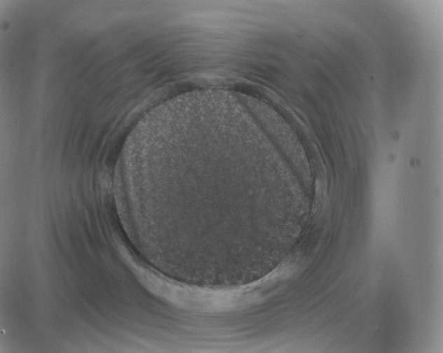 X0000082680048200702232149