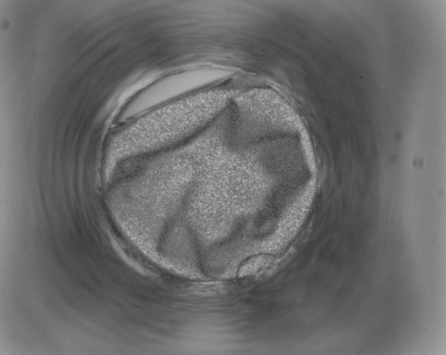 X0000082680050200702232148