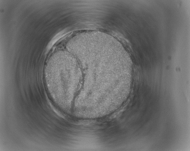 X0000082680051200702232148