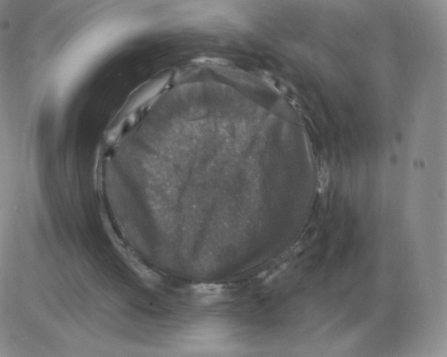 X0000082680052200702232148