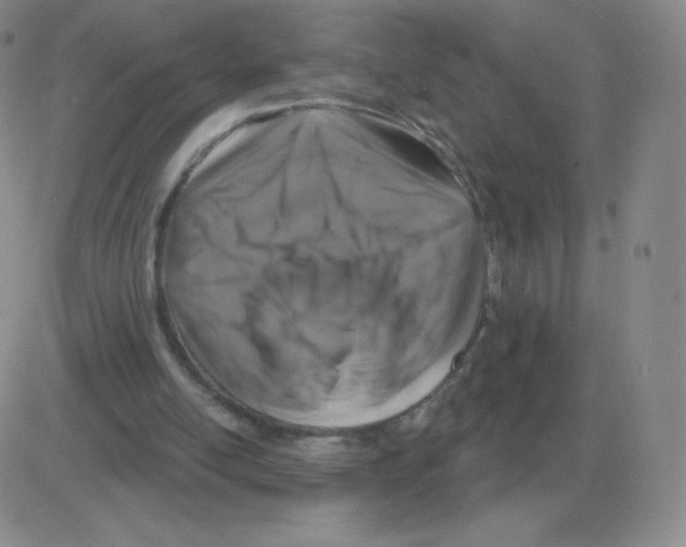 X0000082680054200702232148