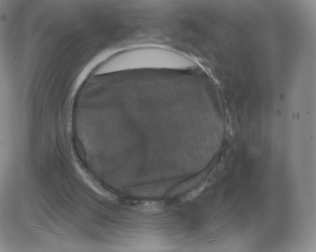 X0000082680056200702232148