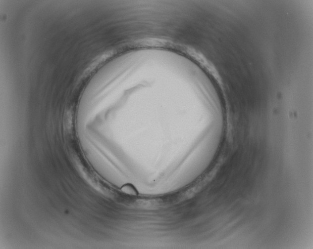 X0000082680057200702232148