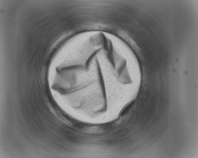 X0000082680058200702232148