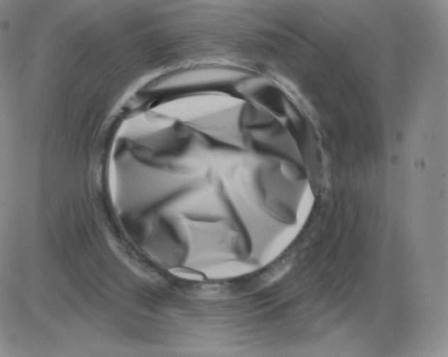 X0000082680060200702232148