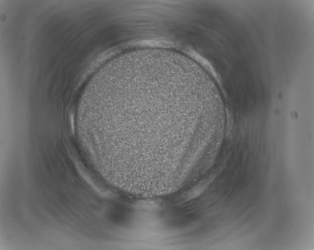 X0000082680061200702232148