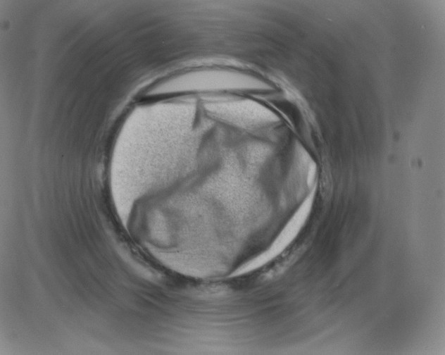 X0000082680063200702232148