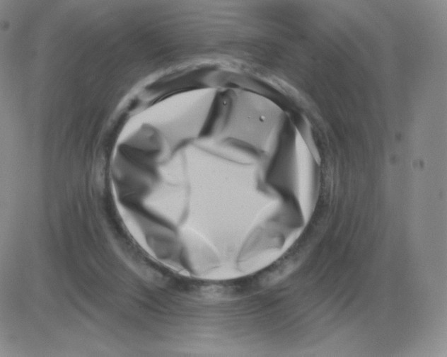 X0000082680064200702232148