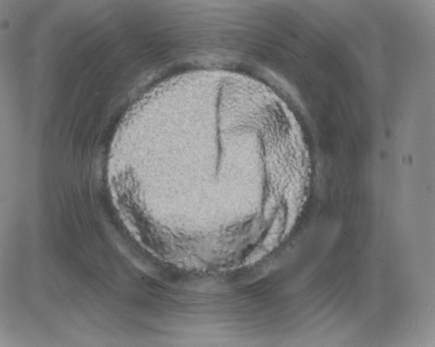 X0000082680065200702232148